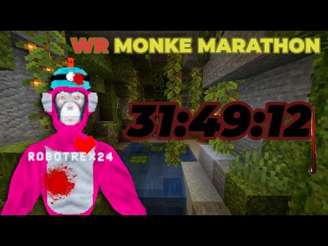 I Attempted the WORLD RECORD on Monke Marathon