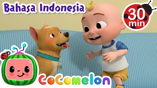 Pergi Mencari BINGO!🐶 | CoComelon | Kartun dan Lagu Anak | Moonbug Kids Indonesia | Nursery Rhymes