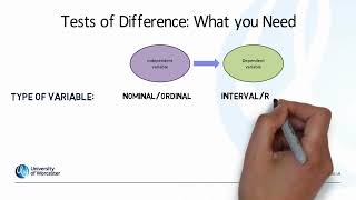 Business Research: Analysing Quantitative Data