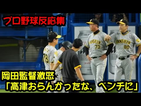 【阪神】岡田監督「高津おらんかったな、ベンチに」「そういうチームなんやろ」近本の死球に激怒【なんJ なんG野球反応】【MLB NPB】