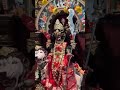 Rani maa #video #love #new #shortvideo