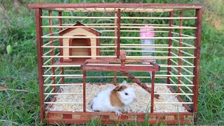 Create a mouse cage make from wood - DIY Wooden Guinea Pig Cage