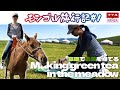 モンゴル旅行記【#1】世界8位の巨大なチンギスハーン像 エレデネ村観光/ウランバートル郊外で乗馬体験/草原で野点に挑戦/モンゴル料理 ツォイワンが上手な女性は良いお嫁さん?!/モンゴル旅行VIVANT