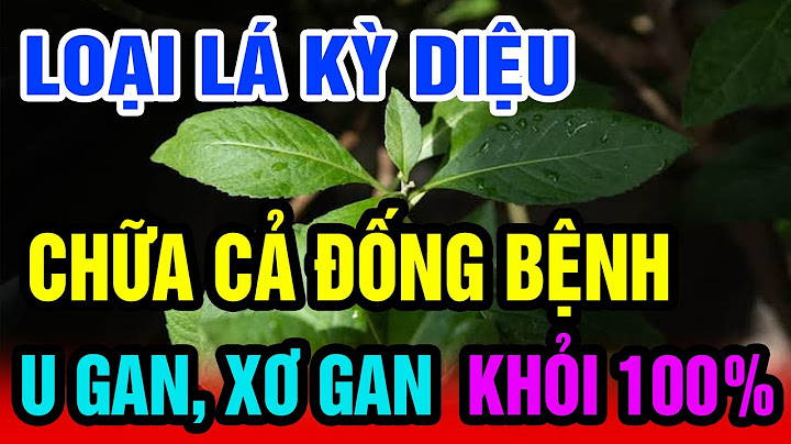 Các chất dinh dưỡng có trong thiên nhiên là gì năm 2024