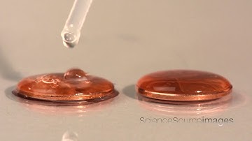 How a Surfactant Affects Surface Tension on Coins