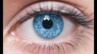 eye motion detection and tracking using openCV Arabic explanation