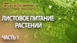 Листовое питание растений | Что это такое? Для чего оно нужно? | Часть 1 |