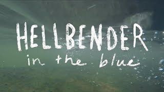 Hellbender in the Blue