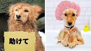 親切な人は身近にいるんです