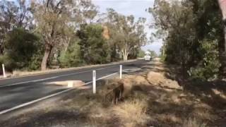 Potholes on the Eumungerie Rd to Narromine