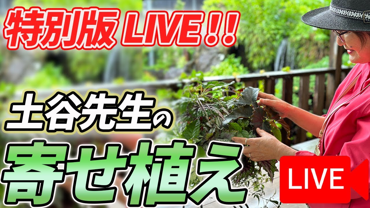 Live Streaming!》September 1st: We will be introducing Professor