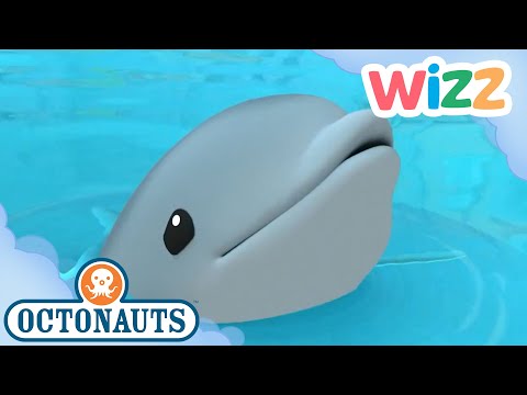 @Octonauts - The Baby Dolphin | Full Episode | Cartoons for Kids | @Wizz  ​