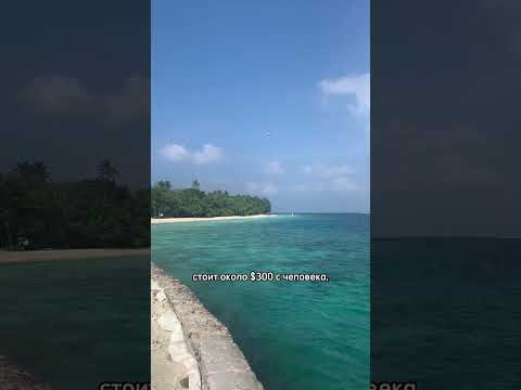 Видео: Сколько стоит паром до острова Боуэн?
