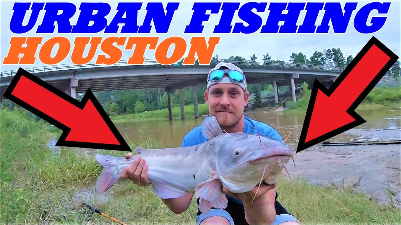 FISHING HOUSTON CITY 2 BIG BLUE CATFISH FISHING URBAN CREEK AND