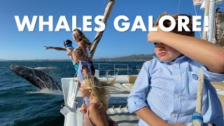 Family Whale Watching From a Yacht in Punta Mita, MX. Will We See The Green Flash? An Inspirato Trip
