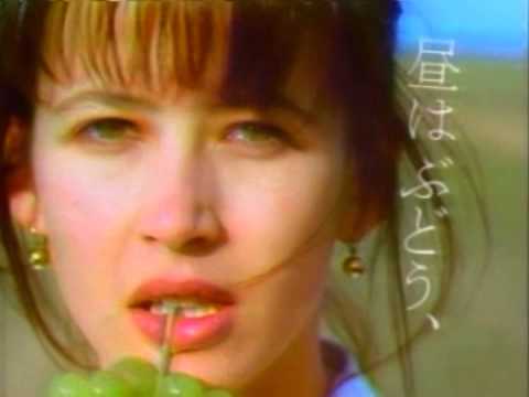 サントリー V S O P