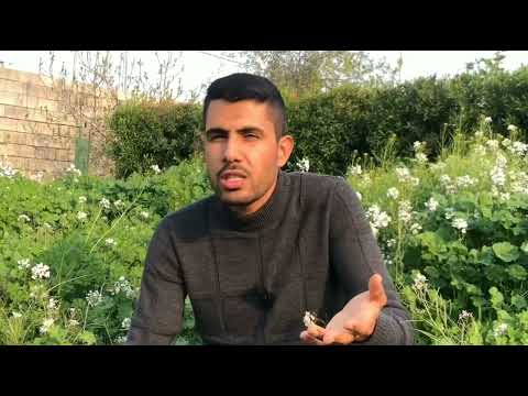 باللغة التركمانية كتاب اوراق عمل وتجارب الحلقة الاولى التجارب ثروة