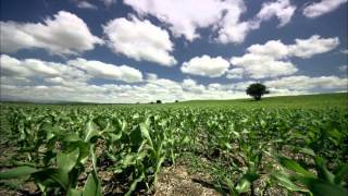 AgCelence - BASF Plant Health (short version)