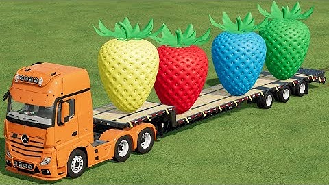 TRANSPORTING OF COLORS ! GIANT STAWBERRY LOADING ON LOW LOADER w CASE TRACTORS !Farming Simulator 22