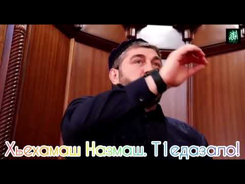 Дала деллачунна собаре