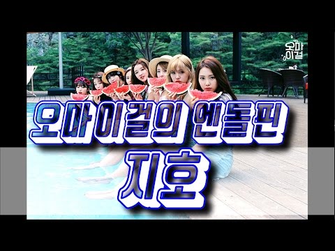 오마이걸의 엔돌핀 지호 위키