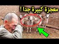 قصة رجل الفقير الذي لم يستطع شراء خروف العيد ولكن حدث ما لم يتوقعه أن يحدث 