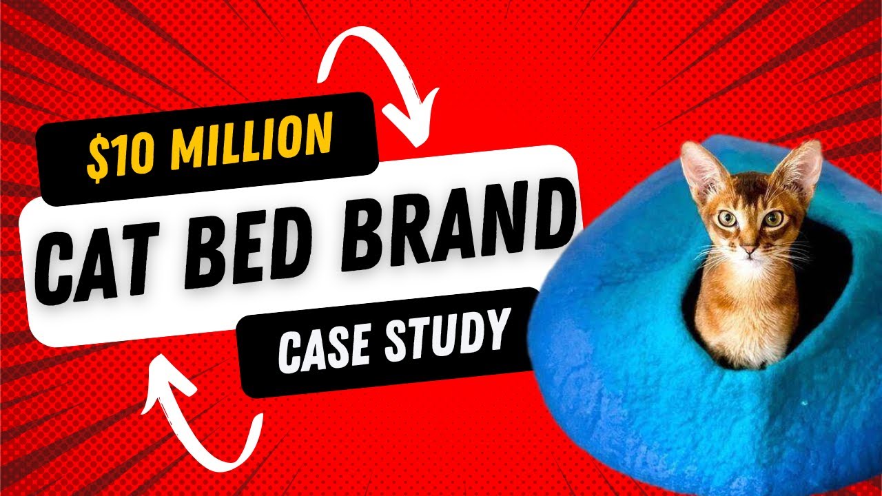 Case Study: How I Grew A Shopify Store To $10M In Sales Selling Cat Beds