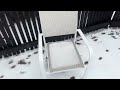 Snow foot steps in my backyard!