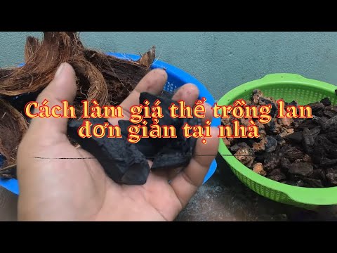Video Cách làm giá thể trồng lan đơn giản tại nhà - youtube