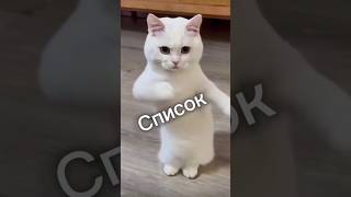 Список маме #котик #список #этопросто #этороссиядетка #квадроберы #кемерово #белово