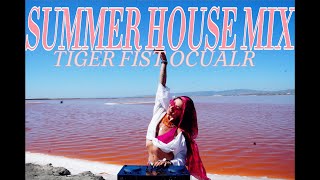 Summer Vibes | 2 Hour Groovy House Mix 2024 | Tiger Fist Ocular