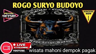 Download lagu BANTENGAN DJ || ROGO SURYO BUDOYO live WISATA MAHONI DEMPOK PAGAK