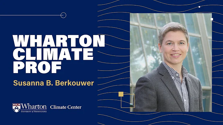 2024 Climate Prof – The Efficiency of CO2 Abatement