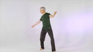 iStand Falls Prevention® Tai Chi CLIP