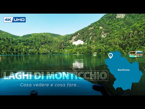 Video: Vulture è Descrizione, foto