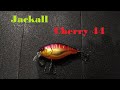 Видеообзор универсального кренка Jackall Cherry 44 по заказу Fmagazin