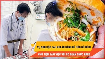 Vụ ngộ độc sau khi ăn bánh mì cóc Cô Bích: Chủ tiệm làm việc với cơ quan chức năng | Thời sự