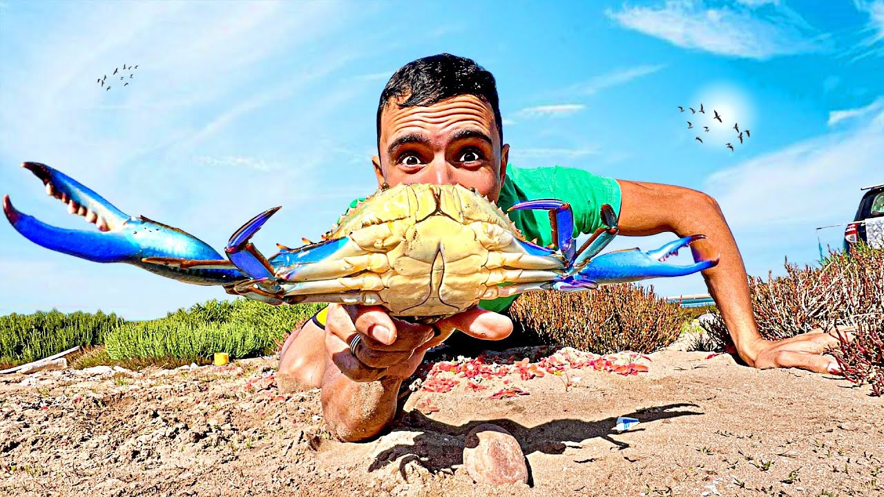 صراع البقاء:صيد السلطعونات الزرقاء العملاق Crab وتحضير وجبة رائعة
