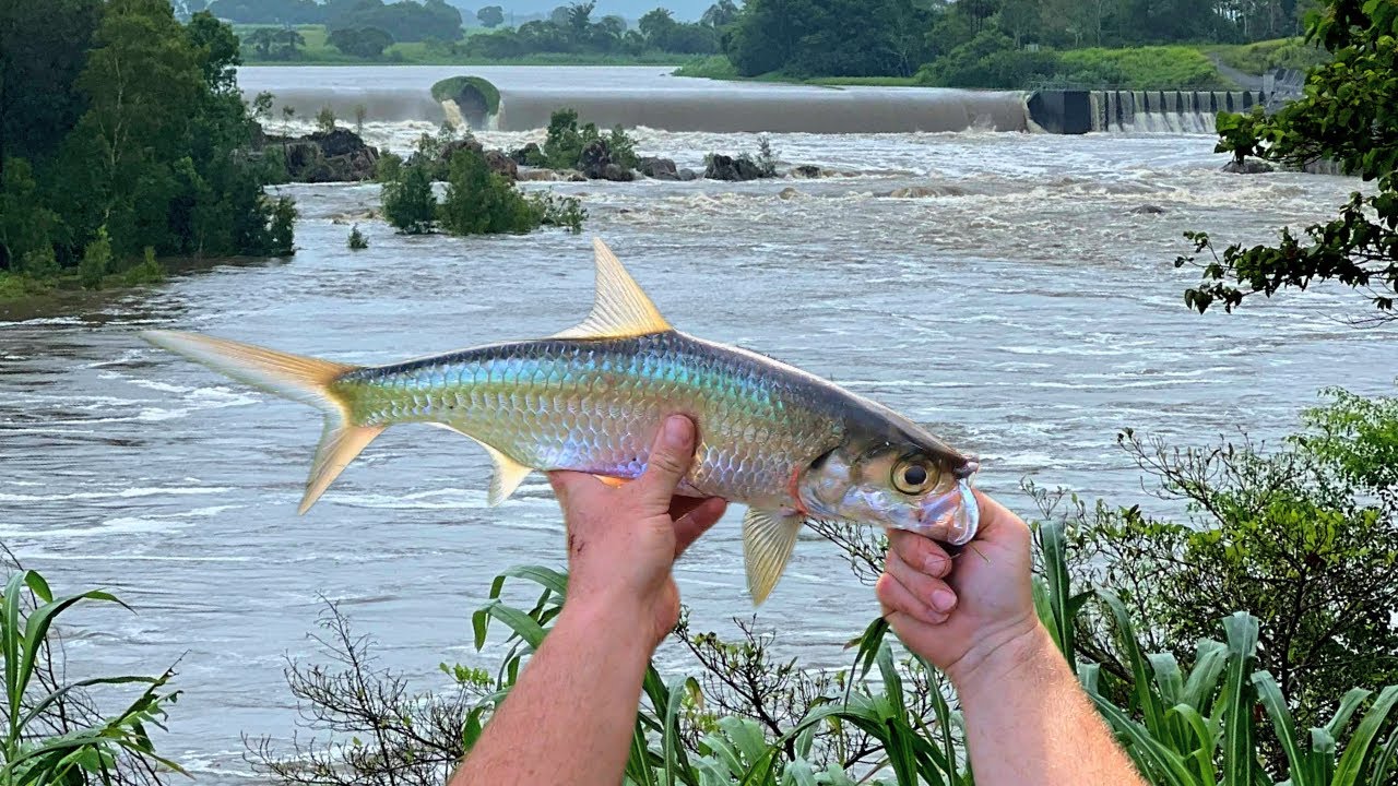 EXPLORING MACKAY BEFORE THIS HAPPENED | MACKAY FLOODS 2023