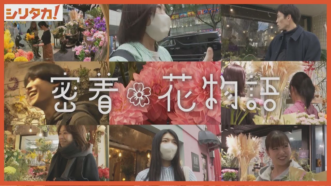 【中古】 ゆりさんの花物語 密着花物語「わたしが花を贈る理由」＃3【シリタカ！】(2024年11月26