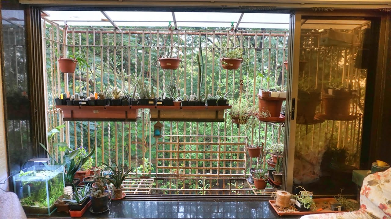 Vertical Gardening Ideas we use in our balcony How we avoid water