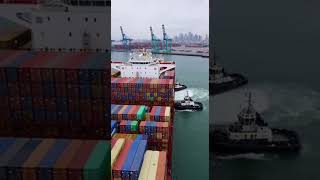 Massive Cargo Ship Maneuvering: The Power of Tugboats! 🚢⚓