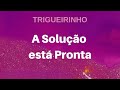 Trigueirinho | A Solução está Pronta