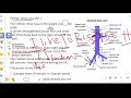 Inferior vena cava and it's tributaries/inferior vena cava diagram 