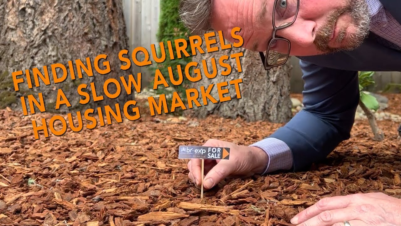 Slow Housing Market in August