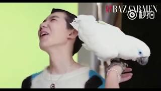Tfboys Vương Nguyên Hậu Trường Chụp Ảnh Cho Tạp Chí Bazaar Men