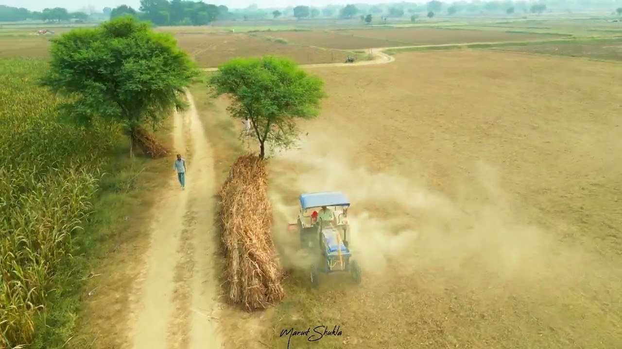 Between Dust and Green — A Village Story