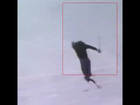 Ween - Flutes of Chi [Ski Music Video]
