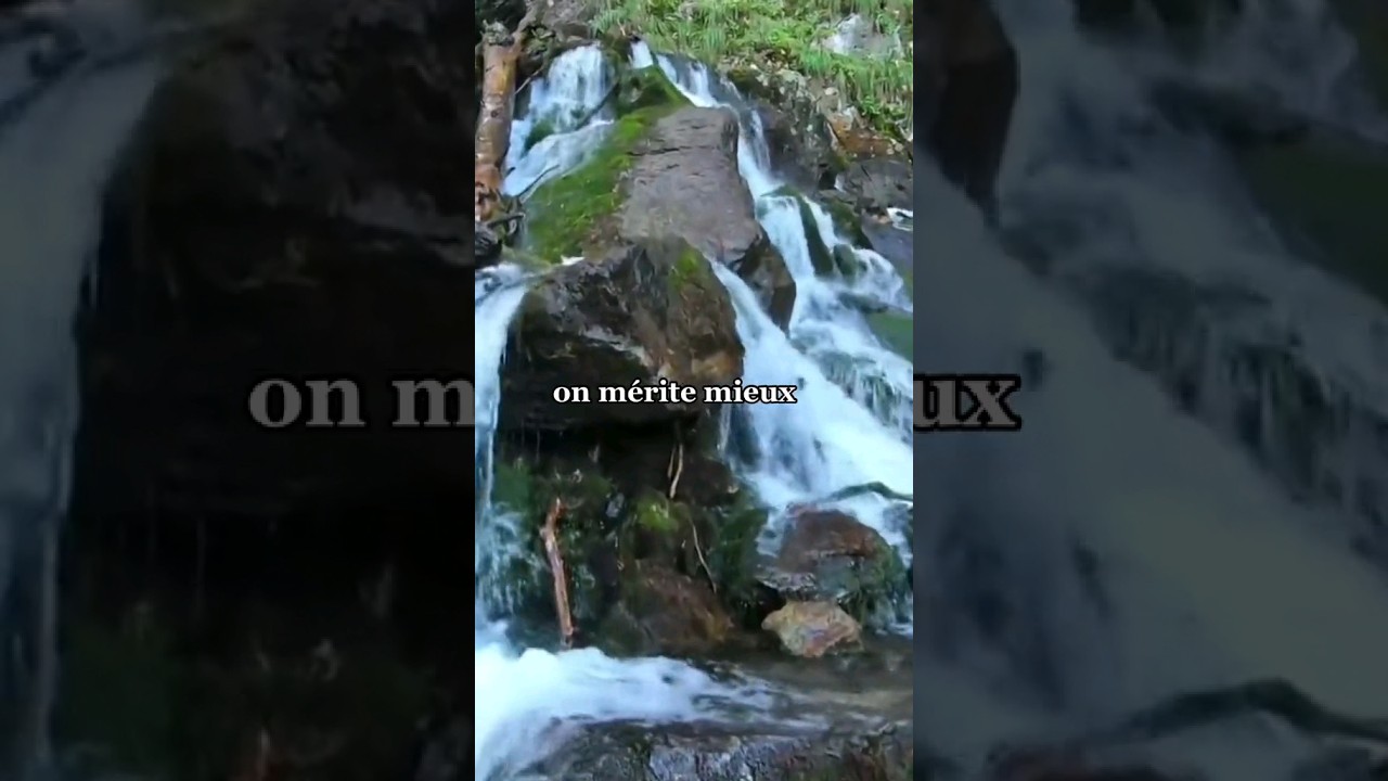 On mérite mieux #proverve #motivation #youtubeshorts #citations #sagesse #amour #confiance #shorts