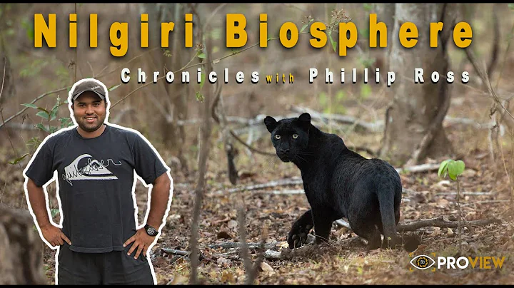 Nilgiri Biosphere Chronicles with Phillip Ross